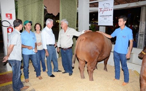 MATO GROSSO DO SUL TAMBÉM É REFERÊNCIA NA CRIAÇÃO DO SENEPOL