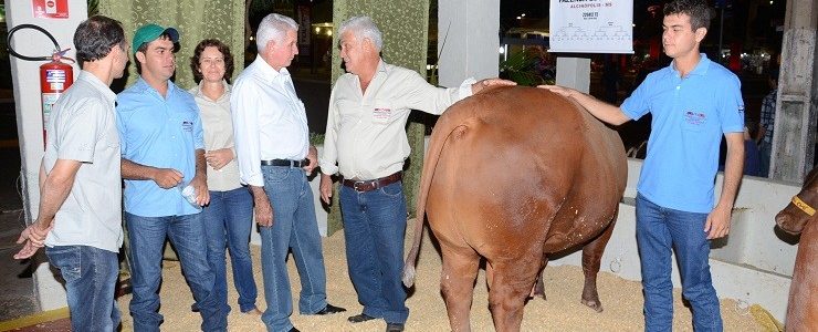 MATO GROSSO DO SUL TAMBÉM É REFERÊNCIA NA CRIAÇÃO DO SENEPOL